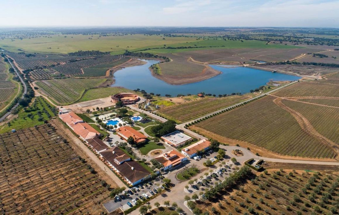 Casa de Santa Vit&oacute;ria - Viva o Vinho