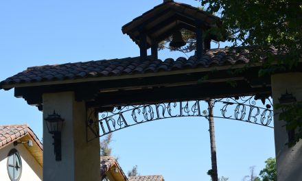 Concha y Toro – Conhecendo uma produção de vinhos