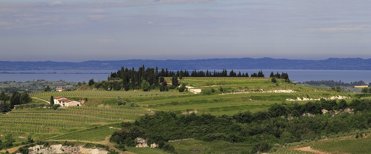 Allegrini é destaque no TOP Italian Wines Road Show