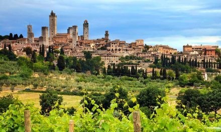 Um passeio pelos vinhos da Itália