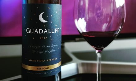 Guadalupe 2015: Review