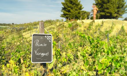 Quinta dos Vales torna wine-lovers em wine-makers