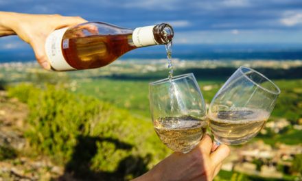 6 Benefícios de beber um copo de vinho por dia