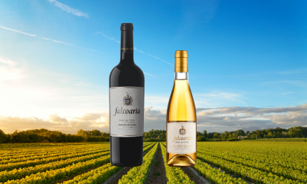 Melhores vinhos de Portugal: tinto e branco de blend são do Tejo