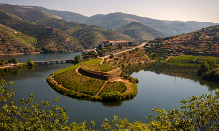 Margens do rio Douro recebem festival que junta música e gastronomia – Douro & Porto Wine Festival